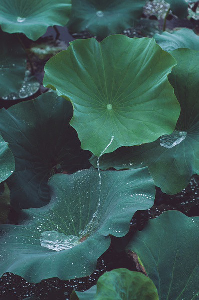 朝飞暮卷,云霞翠轩,雨丝风片,烟波画船,锦屏人忒看的这韶光贱.