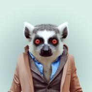 Funny Portraits of Animals Dressed Like Humans 摄影Yago Partal