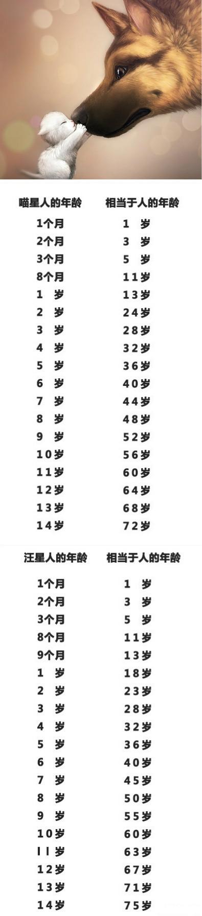 喵星人和汪星人年龄对照表，要好好珍惜我们的伙伴啊。