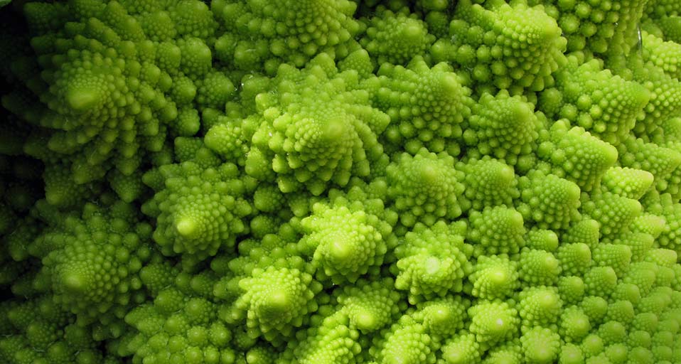 Romanesco (© Martha Lazar/Getty)