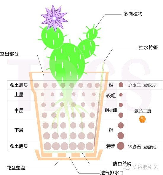 无需多语，自己看，涨知识