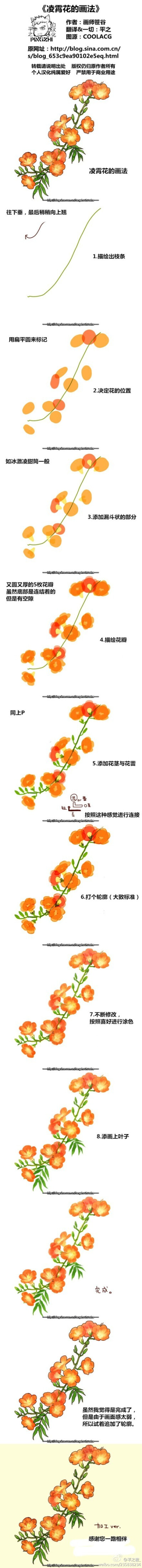 【作画教程】花朵的绘画教程合集，非常赞~推荐给大家！翻译：@焦糖化平之