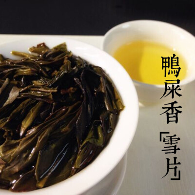 若只是初见 凤凰单枞 鸭屎香 雪片 茶 摄影 微距 中国风 茶叶 茶汤 叶底 【一泡好茶，一份闲情。好图好文，你我共享。 天朝汇下午茶时间，与您一起说说在路上的那些事情。 扎西德勒，卡瓦博格。 我知道，远方的雪山，…