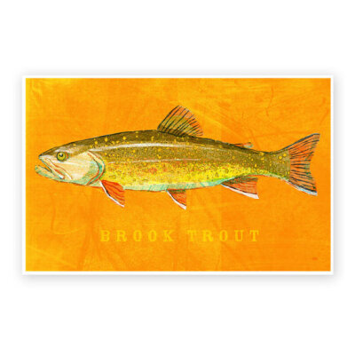 Brook Trout Art Print- Freshwater Fish Art- 8