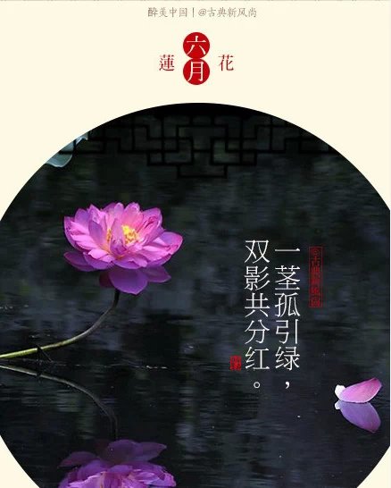 12月月令花与花神（版本一）】六月金莲冉冉升