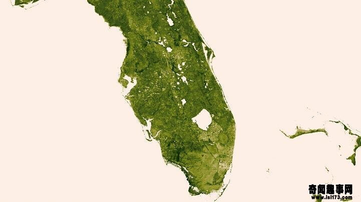 佛罗里达大沼泽地（The Everglades）http://www.isi173.com/diqiujiayuan/8251.html