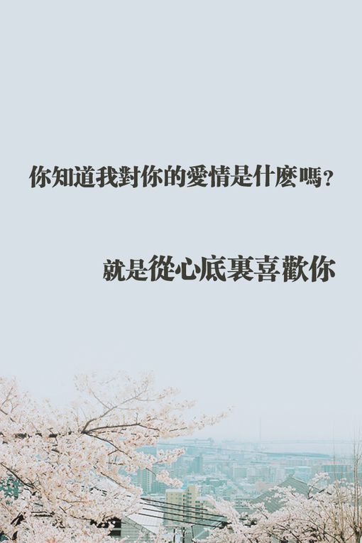 皮肤带字