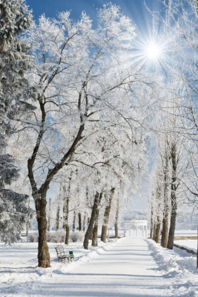 我也想去看看雪乡，和我最离不开的人，站在雪白的世界里。