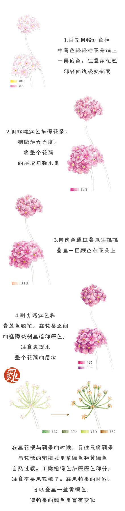 #每天10分钟，跟飞乐鸟学画画# 点地梅不是梅花的花，报春花科，它能利用阳光合成糖类储存在叶子中，在寒冷的冬季到来时能够起到防寒的作用。类似人类存储脂肪御寒过冬~