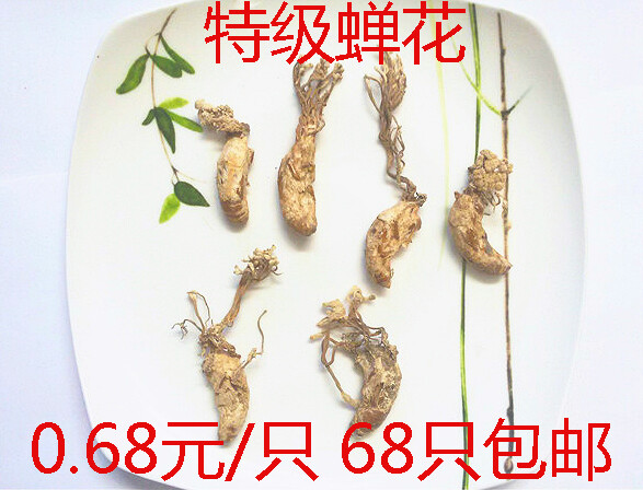 特级金蝉花按每只卖，满68只包邮，蝉花，个个带花