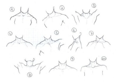手绘参考~颈部和肩膀