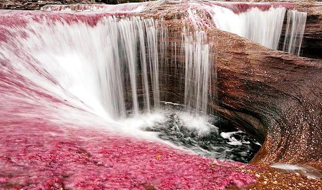 里约Cristales Cano——哥伦比亚