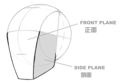 各角度头部的正确画法 （via：Animation Tidbits）