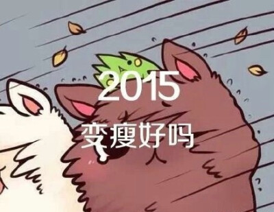 迎接2015，先许个愿望吧！