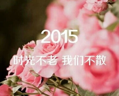 迎接2015，先许个愿望吧！