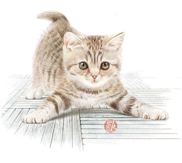 手绘 彩铅画 色铅笔 飞乐鸟 猫