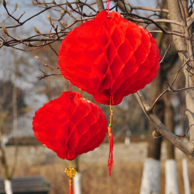 戏法空间 节庆装饰灯笼婚庆装饰灯笼新年喜庆灯笼 蜂窝塑纸灯笼