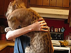 喂喂你是豹猫啊！怎么可以酱紫粘人