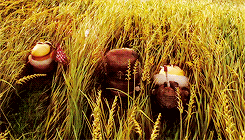 小黄人,电影,2015,gif,萌,可爱,小黄人外传,喜剧,动画,家庭,欧美,神偷奶爸,动画电影,欧美电影