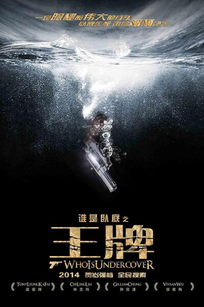 片名：《王牌》 类型：动作/剧情 地区：大陆/香港 主演：林志玲 梁家辉 钟欣桐 上映日期：2015年1月1日