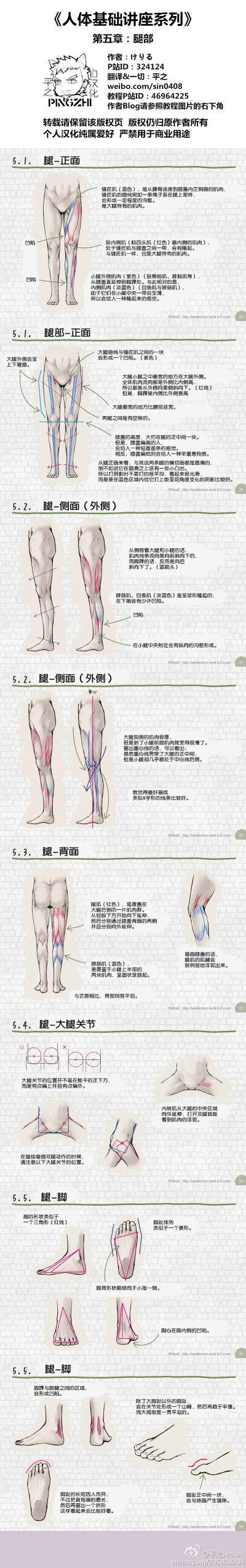 人体基础讲座系列