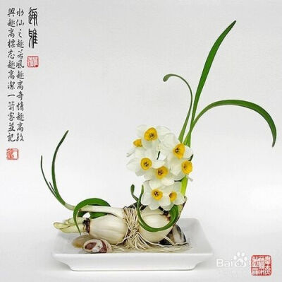 水仙花