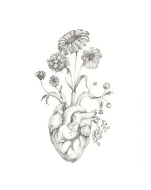 8x10 PRINT of original drawing Blooming Heart- graphite, art, anatomy, floral, heart, valentine via Etsy