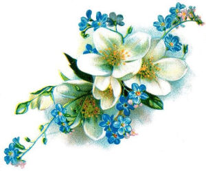 vintage blue and white floral temporary tattoo by pepperink