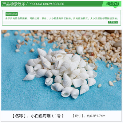 海洋世界苔藓微景观饰品 贝壳 海螺 装饰品新 DIY组装小摆件玩具