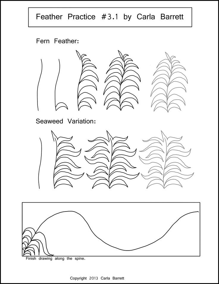 #zentangle ...... no source found, but great patterns