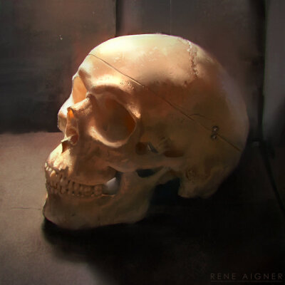 Skull Still Life, Re...