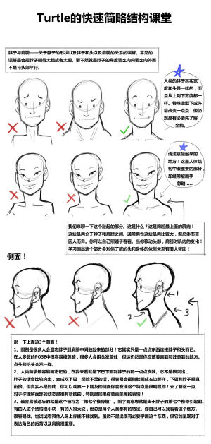 TURTLE的脖子与肩膀关系的快速课堂