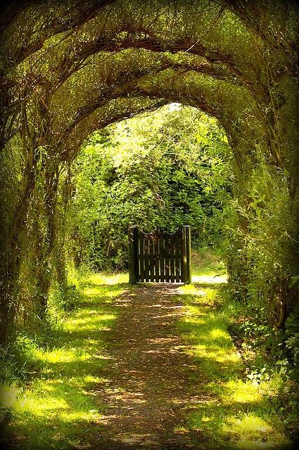 the arbor tunnel