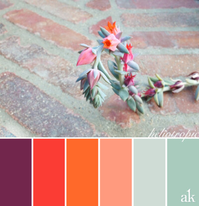 a summer-succulent-inspired color palette