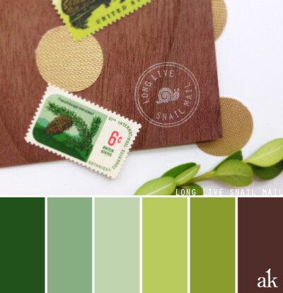 a snail-mail-inspired color palette // green (pine, laurel, sage, citrus, moss), brown // woodland