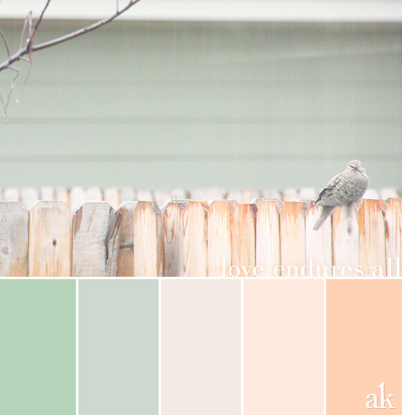 a backyard-dove-inspired color palette // pastels, green, peach