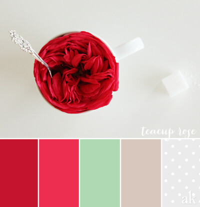 a garden-rose-inspired color palette // red, pink, mint, gray, white, polka dots