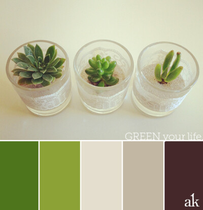 a succulent-inspired color palette // green, ivory, sand, brown