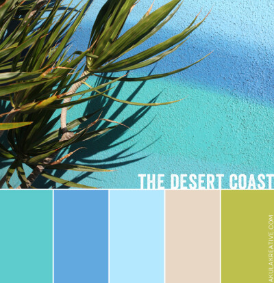 Desert Coast Southern California Color Palette