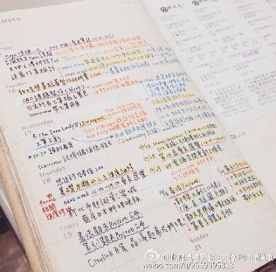 #what's in my notebook##Moleskine#課間時(shí)朋友們分享著各種新年期望，對(duì)此我可說(shuō)是毫無(wú)概念。臨近假期，各種死線(xiàn)滾滾而來(lái)，日常生活要不是忙成狗就是睡成粑粑，手帳滿(mǎn)滿(mǎn)的都是各種課題、報(bào)告、論文等，新年期望當(dāng)然…