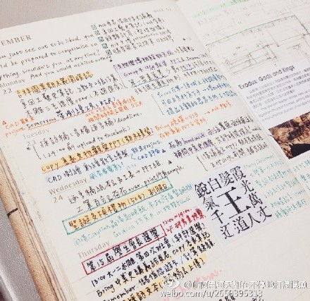 #what's in my notebook##Moleskine#課間時朋友們分享著各種新年期望，對此我可說是毫無概念。臨近假期，各種死線滾滾而來，日常生活要不是忙成狗就是睡成粑粑，手帳滿滿的都是各種課題、報告、論文等，新年期望當然還是順利度過期末啦