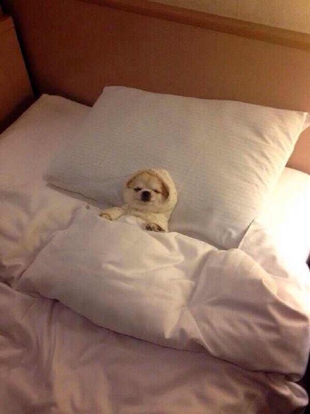 跨年还是热闹的好。