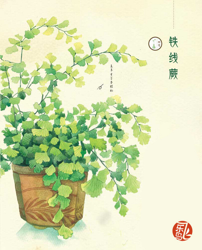 《花时间-和飞乐鸟一起玩栽培》好时光别浪...