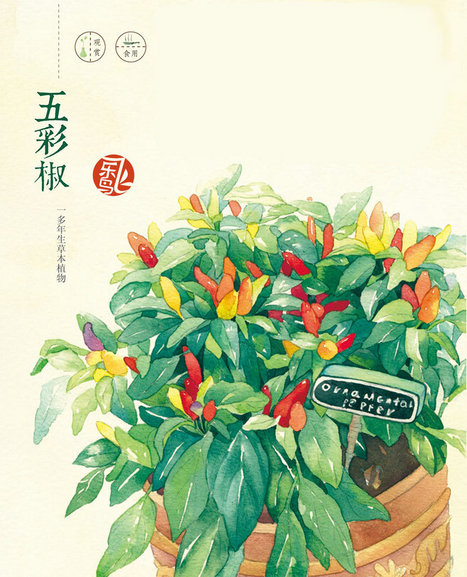 《花时间-和飞乐鸟一起玩栽培》好时光别浪...