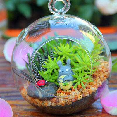 苔藓微景观生态瓶玻璃瓶植物 办公室摆件公仔创意情人节春节礼物