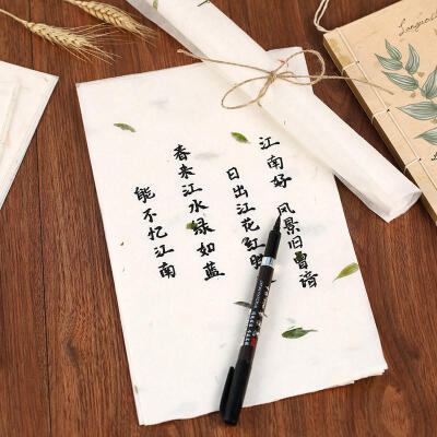 花叶植物古风宣纸信纸 中国风古典手绘书法信笺 精美复古高档礼物