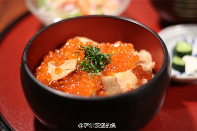 鲑鱼亲子丼（はらこ飯），日本东北仙台一带的乡土料理，在煮好的米饭上铺上满满一层阿武隈川的鲑鱼和盐渍鲑鱼籽。鲑鱼和鱼籽完美融合，简单，朴实。