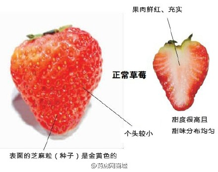 #生活# 【图示：如何辨别用膨大剂的问题草莓？】膨大剂属农药范畴，超量使用影响果品质量，人体摄入过多，对健康不利。下面就教大家如何区分问题草莓和正常草莓的小技能！