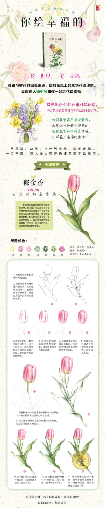 你绘幸福的 彩铅手绘鲜花教程 猫小蓟 永生花绘画技巧