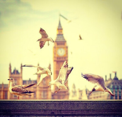 英国大本钟唯美HDR摄影作品，美轮美奂喔，已沉醉了。